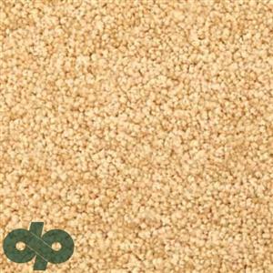 پالازموکت – یاس 5865