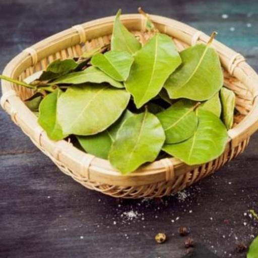برگ بو فله ای