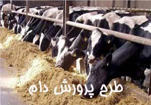 طرح توجیهی پرورش دام