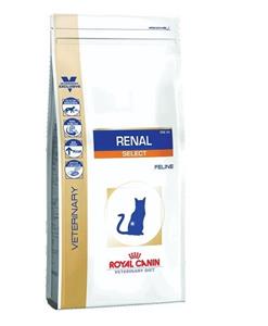 غذای خشک گربه مدل رنال رویال کنین 2 کیلوگرم Royal Canin Renal Feline 