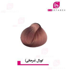رنگ موی مرجانی فورگرلز For Gilrs color 489