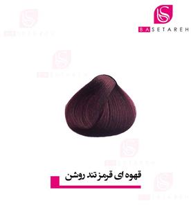 رنگ موی قهوه ای قرمز تند روشن فورگرلز For Gilrs color 5-67 120 میلی 