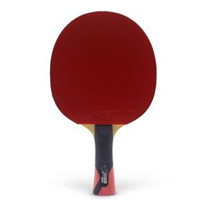 راکت پینگ پنگ آماده شده دبل هپینس اسکای لاین 2 DHS Table Tennis Bat TG۲