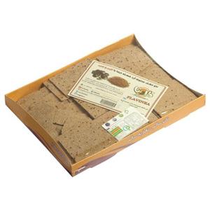 نان خشک هسته خرما ارگانیک فلاوینا ۲۵۰ گرمی