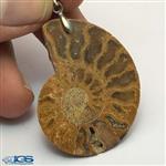 آویز سنگ آمونیت فسیل طبیعی آمونیت fossil... 13084