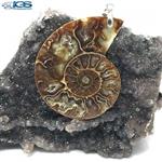 آویز فسیل کلکسیونی آمونیت fossil ammonite 13154