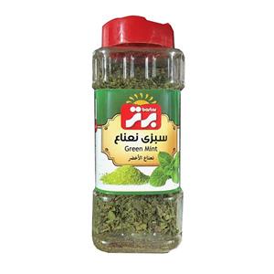 نعنا خشک برتر – 20 گرم 