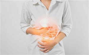 پاورپوینت جامع آناتومی و فیزیولوژی دستگاه گوارش | آموزشی، پزشکی و دانشجویی