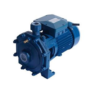 پمپ آب خانگی 1/5 اسب دو پروانه ارس ARAS CB 160