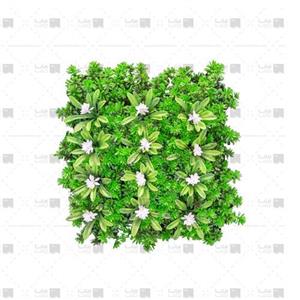 دیوار سبز مصنوعی مدل داوودی - آناناسی ابعاد 25*25