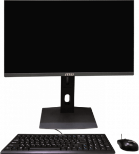آل این وان (ALL IN ONE) 23.8 اینچ MSI مدل PRO 24X-10M-RISER