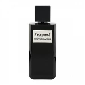 ادوپرفیوم مردانه بریکورت مدل MAUVAIS GARCON 100 میلی لیتر MAUVAIS GARCON Brecourt perfume for men