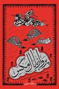 کتاب پرواز با بال مگس اثر سید علی اصغر علوی