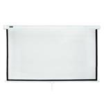 CS300M Manual Projector Screen 300x300