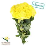 رز هلندی زرد پارادایس 20 شاخه