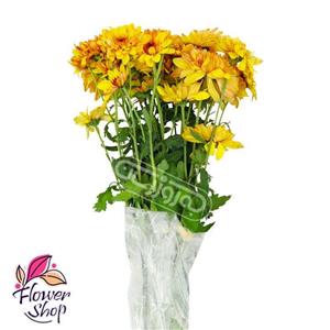 دسته گل داوودی زرد فلاورشاپ