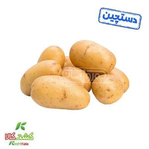 سیب زمینی تازه کیلویی