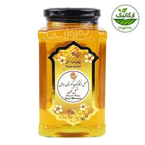 عسل ارگانیک گون کوهستان سارال 950 گرمی