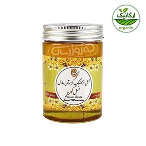 عسل ارگانیک گون کوهستان سارال 450 گرمی
