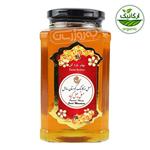 عسل ارگانیک چهل گیاه کوهستان سارال 950 گرمی