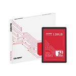 Gloway FER Series Internal SSD 120 GB