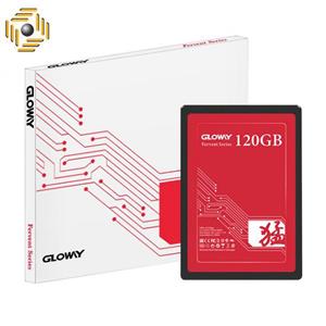 اس دی گلووی مدل Gloway Fervent Series 120G FER Internal SSD GB 