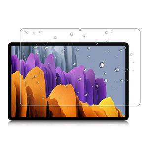 محافظ صفحه نمایش تبلت سامسونگ Galaxy Tab S7