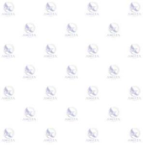 منجید اگزوز پیکان