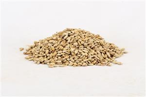 مغز تخمه آفتابگردان شور 250 گرمی