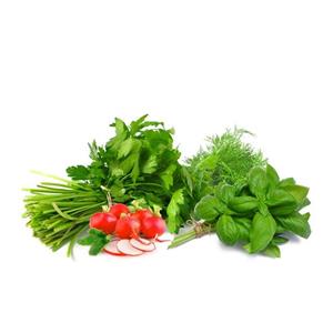 سبزی خوردن تازه کیلویی