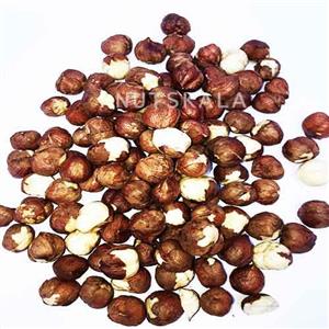 مغز فندق ناتس کالا( 5 کیلویی – عمده)
