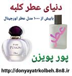 عطر زنانه دیور پور پویزن 1 گرم