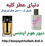 عطر مردانه دیور هوم اینتنس 1 گرم