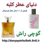 عطر زنانه گوچی راش 1 گرم 