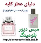 عطر زنانه میس دیور بولومینگ بوکت 1 گرم