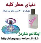 عطر زنانه سالواتور فراگامو اینکانتو چارمز 1 گرم