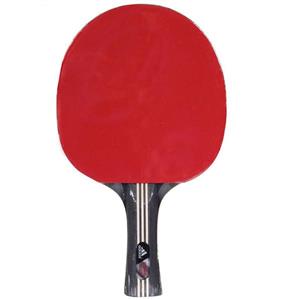 راکت پینگ پنگ ادیداس مدل Club II Adidas Ping Pong Racket 