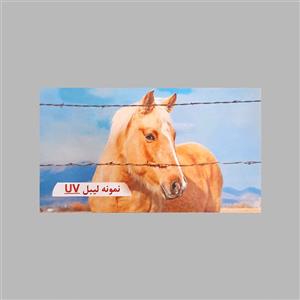 کاغذ پشت چسبدار با روکش یووی (UV)