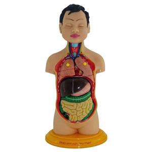 مولاژ نیم تنه 1/4 عروسکی