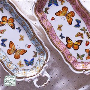 دیس پروانه ای