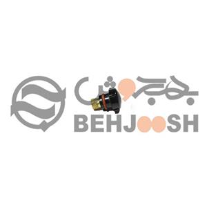 دنباله کوتاه آرگون