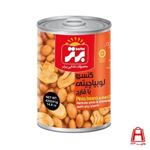 کنسرولوبیاچیتی باقارچ 380گرمی برتر