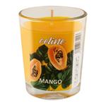 شمع معطر لیوانی کلاین مدل Celine Mango با رایحه انبه