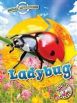 کتاب Animal Life Cycles: Ladybug