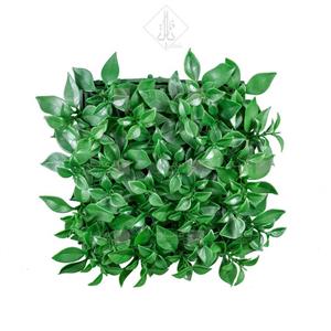 دیوار سبز مدل پرتقالی