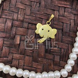 سر فیل تپلو