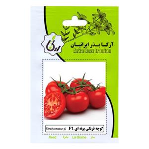 بذر گوجه فرنگی بوته ای F1  آرکا بذر ایرانیان 