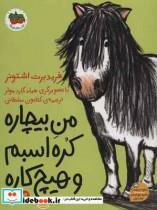 من بیچاره کره اسبم و هیچ کاره 3