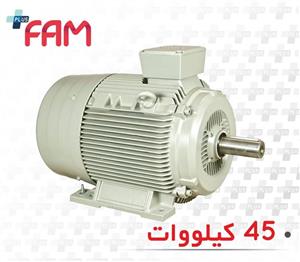 الکتروموتور الکتروژن 45 کیلووات 1500 دور سه فاز 