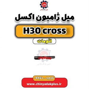 میل ژامبون (میل اکسل) عقب دانگ فنگ اچ سی کراس شرکتی